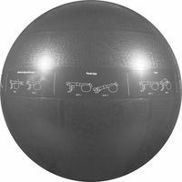 GoFit Pro Stability Ball 75 cm Grey