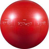 GoFit Pro Stability Ball 65 cm Red