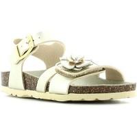 goldstar 1864mt sandals kid girlss childrens sandals in grey