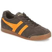 gola harrier mens shoes trainers in brown