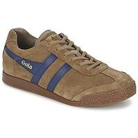 Gola HARRIER men\'s Shoes (Trainers) in brown