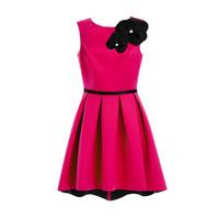 Goddiva Floral Applique Skater Dress in Cerise