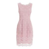 Goddiva Daisy Crochet Dress in Pink