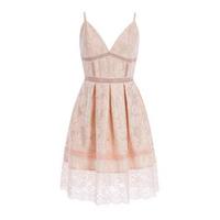 Goddiva Panelled Full Skirt Dress in Pink