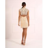 GOLDIE - Gold Lace Bodycon Dress with Scallop High Neck and Capped Sleeves