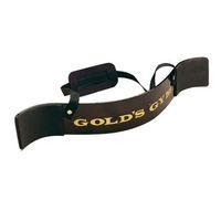 Golds Gym Biceps Isolator