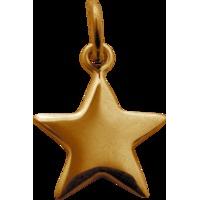 gold solid star charm