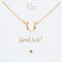 gold horseshoe necklace with good luck message