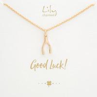 Gold Wishbone Necklace with \'Good Luck\' Message