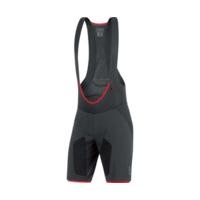 Gore Alp-X Pro 2in1 Shorts+ black