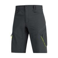 Gore Element Shorts black