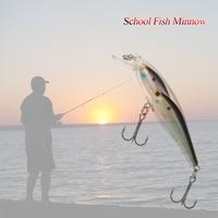 Group Fish Lures Minnow Lure Floating SwimBait Hard Plastic 3d Fish Eye