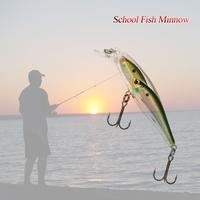 Group Fish Lures Minnow Lure Floating SwimBait Hard Plastic 3d Fish Eye