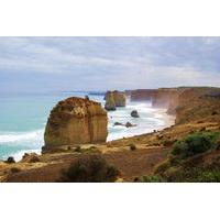 great ocean road small group eco tour from melbourne