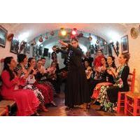 Granada Flamenco Show in Sacromonte and Walking Tour of Albaicin