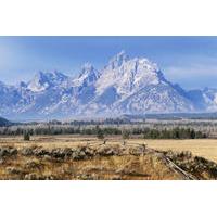 Grand Teton National Park Guided Tour From Jackson Hole