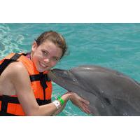 Grand Cayman Dolphin Encounter