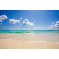 Grand Cayman West Side Tour: Seven Mile Beach and Turtle Farm