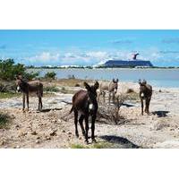 Grand Turk Historical Sightseeing Tour by Tram