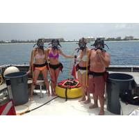 Grand Cayman Snookling Tour