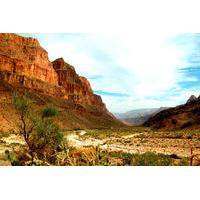 grand canyon floor and rim adventure by 4x4