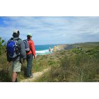 great walks of australia 4 day twelve apostles walk