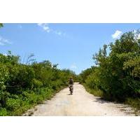 Grand Cayman Shore Excursion: West Bay Bike Tour