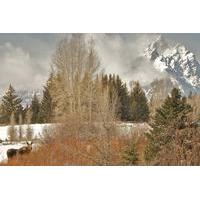 grand teton national park sunrise half day tour