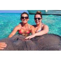 Grand Cayman Stingray City Experience with Snorkeling