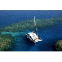 great barrier reef snorkel and dive cruise from cairns by luxury catam ...