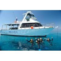 great barrier reef dive and snorkel cruise from townsville or magnetic ...