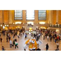 Grand Central: The Open Sesame Bagel Tour