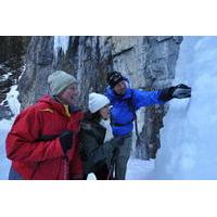 Grotto Canyon Icewalk