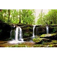 Great Smoky Mountains Waterfall Adventure