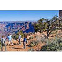 Grand Canyon South Rim Jeep Tour with Transport from Tusayan