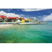 grand cayman shore excursion island sightseeing tour by 4x4