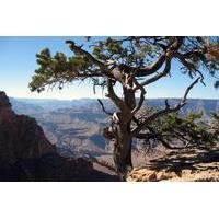 Grand Canyon Hike with Sedona and Flagstaff Hotel Pickup