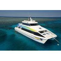 great barrier reef eco snorkel and dive cruise from cairns including l ...