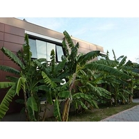 Green Club - Ãetinel Tesisleri