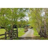 Green Gables B&B