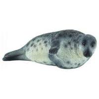 Grey Seal