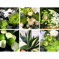 Green Flower Collection
