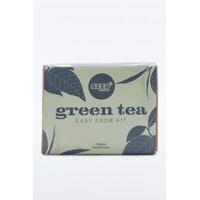 green tea easy grow kit assorted