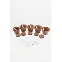 Grow It Funky Veg Kit, ASSORTED