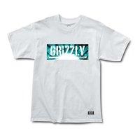 Grizzly Tie-Dye Box Logo T-Shirt - White