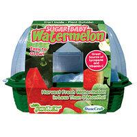 Grow Your Own Sugar Baby Watermelon