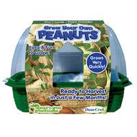 Grow Your Own Peanuts