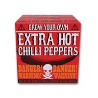 grow your own extra hot chilli