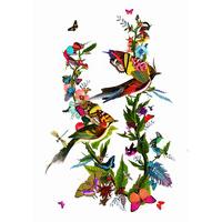 Graeni Grein by Kristjana S Williams