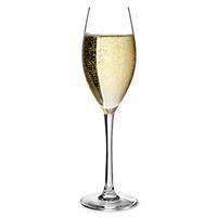 Grands Cepages Champagne Flutes 8.4oz / 240ml (Pack of 6)